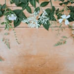 【マーケターは要チェック！】マーケティング担当者なら知っておきたい記事17選| Senses Lab.|top