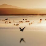 マスマーケティングとニッチマーケティングのどちらが向いている? 第三の市場スモールマス にも注目| Senses Lab.|top