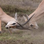 営業の引き継ぎで起こるトラブルとは？｜防止策とツール6選を紹介| Senses Lab.|top