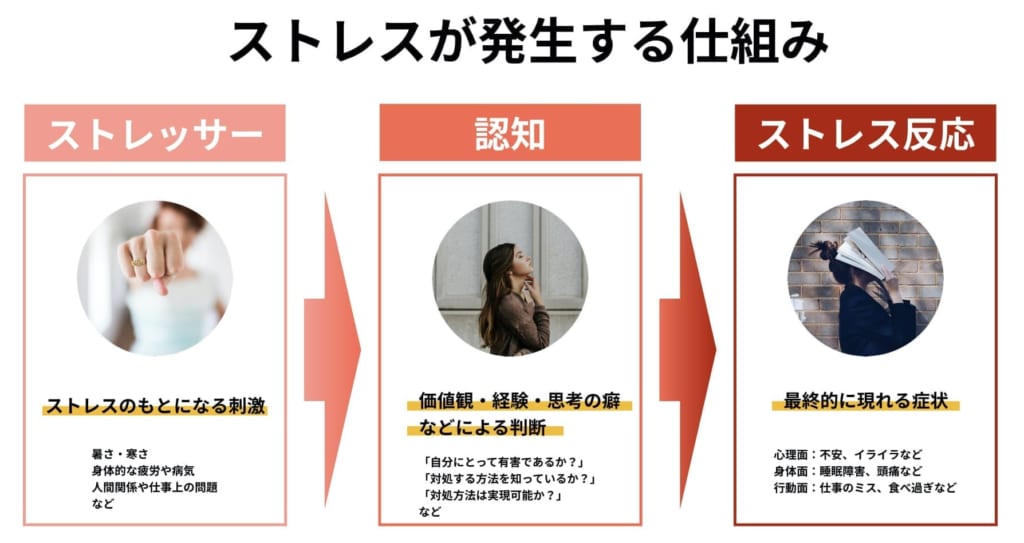 ストレスが発生する仕組み